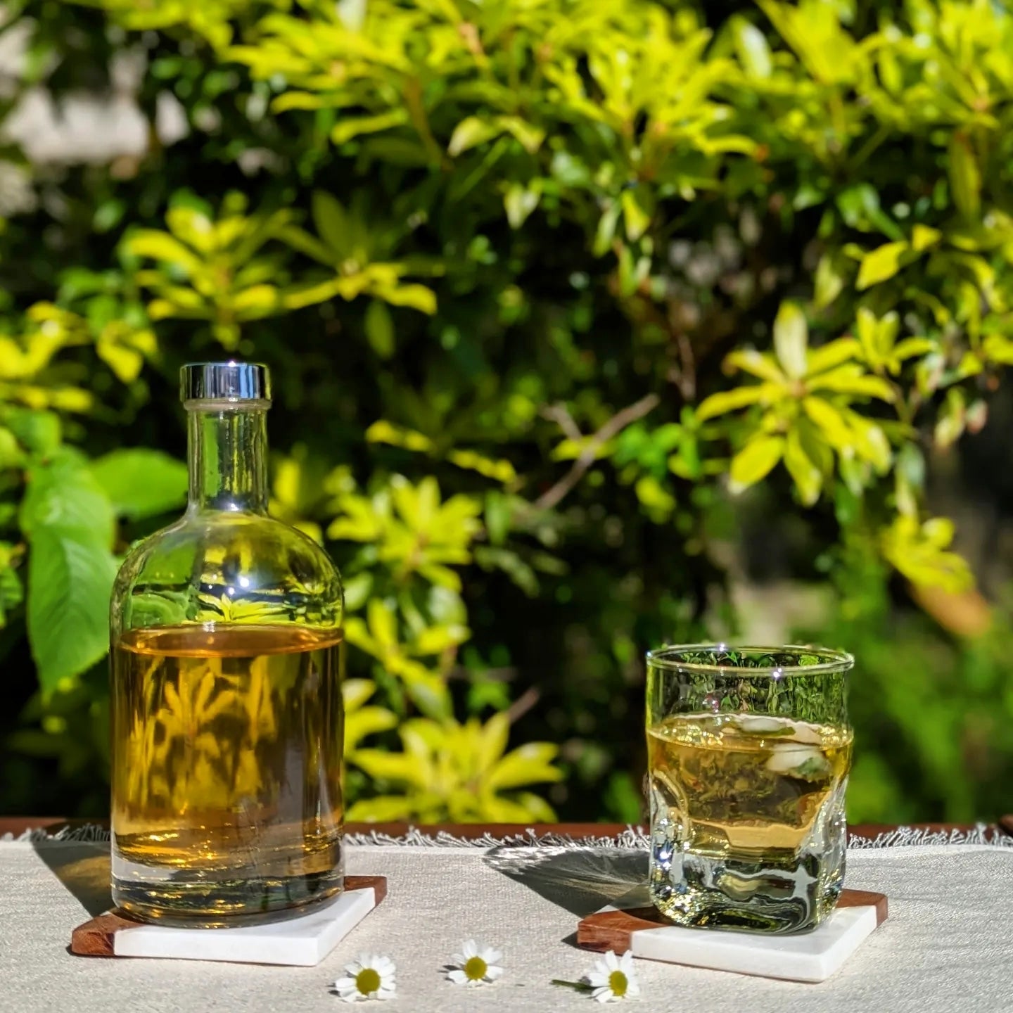 Anti-allergy Tea