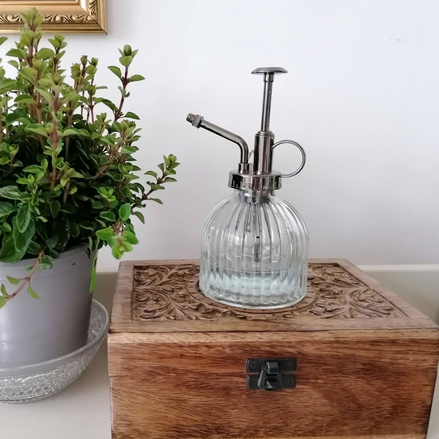 Glass plant mister - LV Apothecary