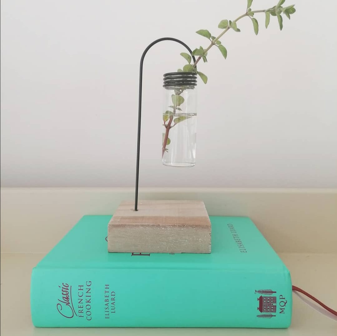 Hydroponic lab jar - LV Apothecary