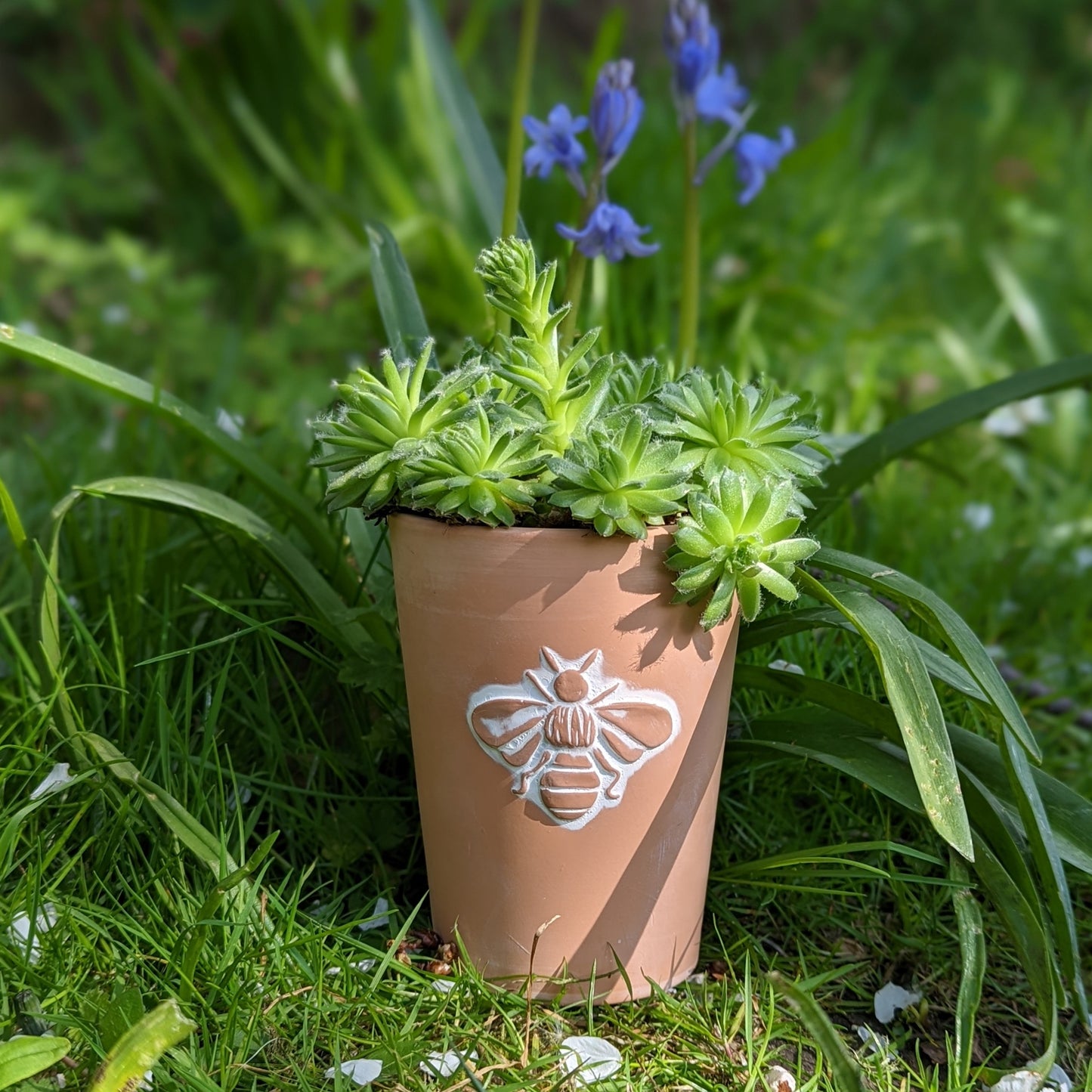 Bee Print Terracotta Pot
