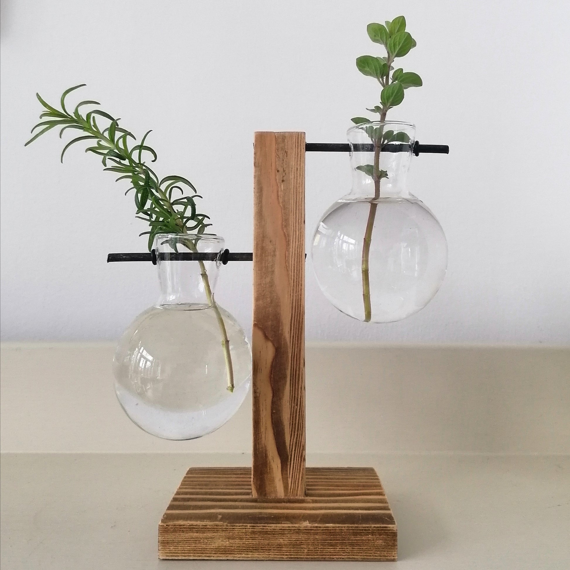 Hydroponic Planter - LV Apothecary
