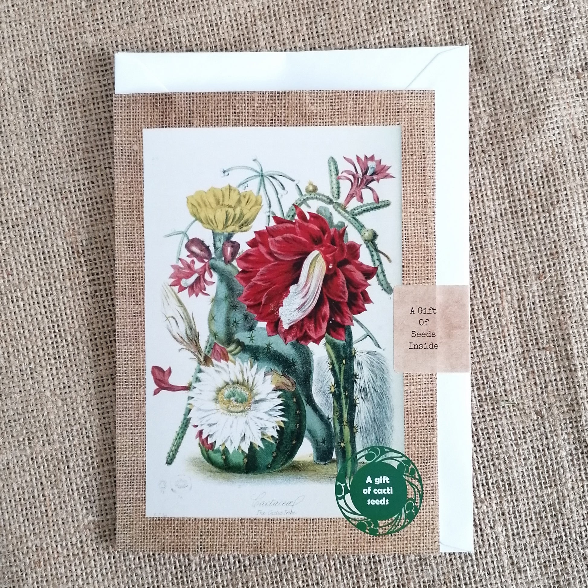 Handmade Seed Greetings Cards - LV Apothecary