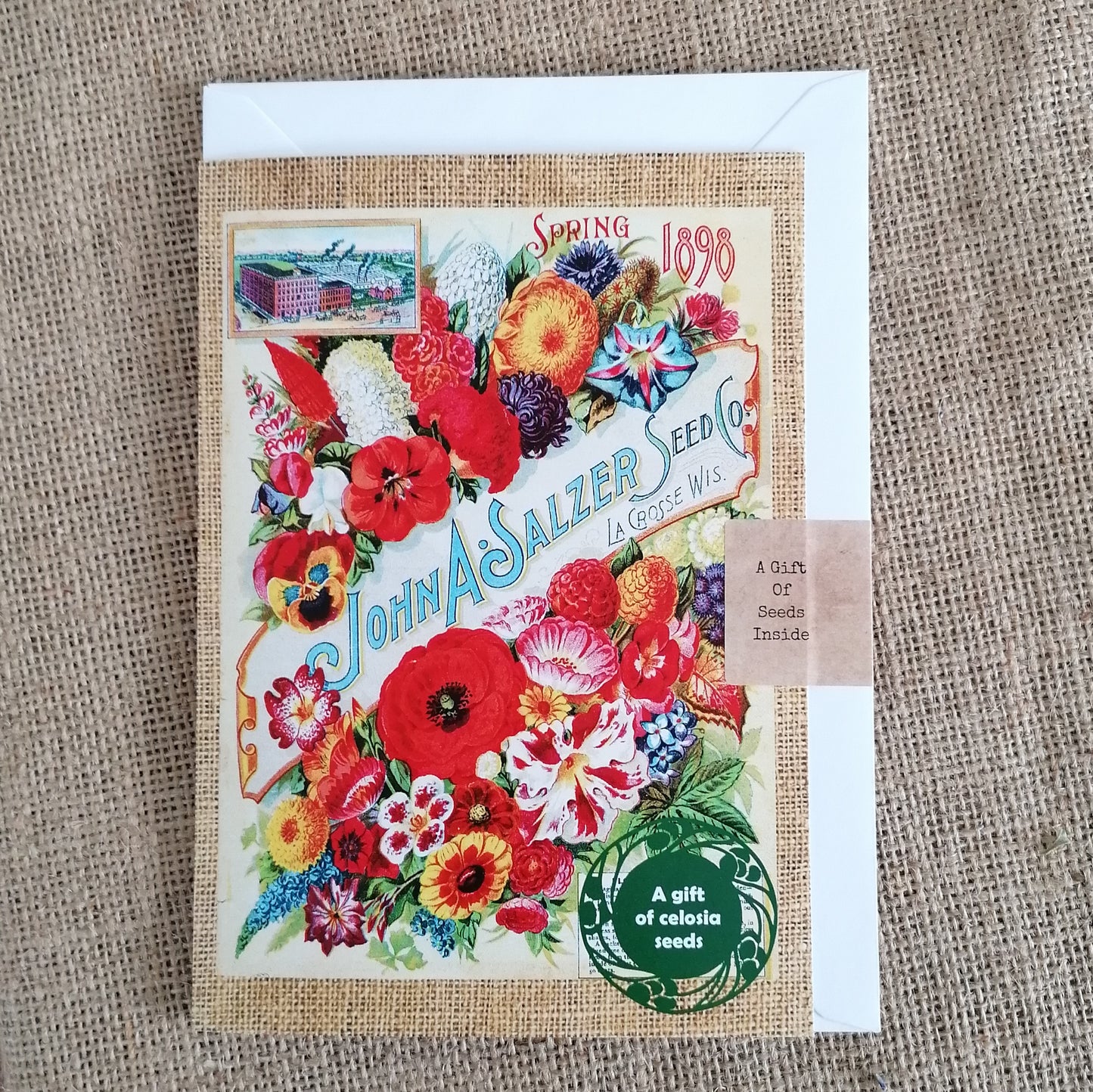 Handmade Seed Greetings Cards - LV Apothecary