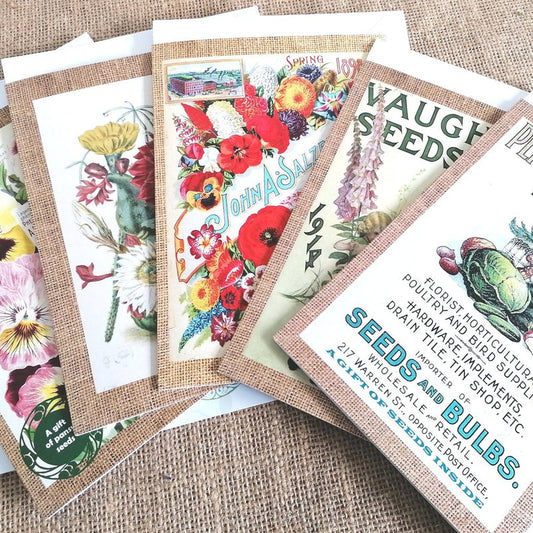 Handmade Seed Greetings Cards