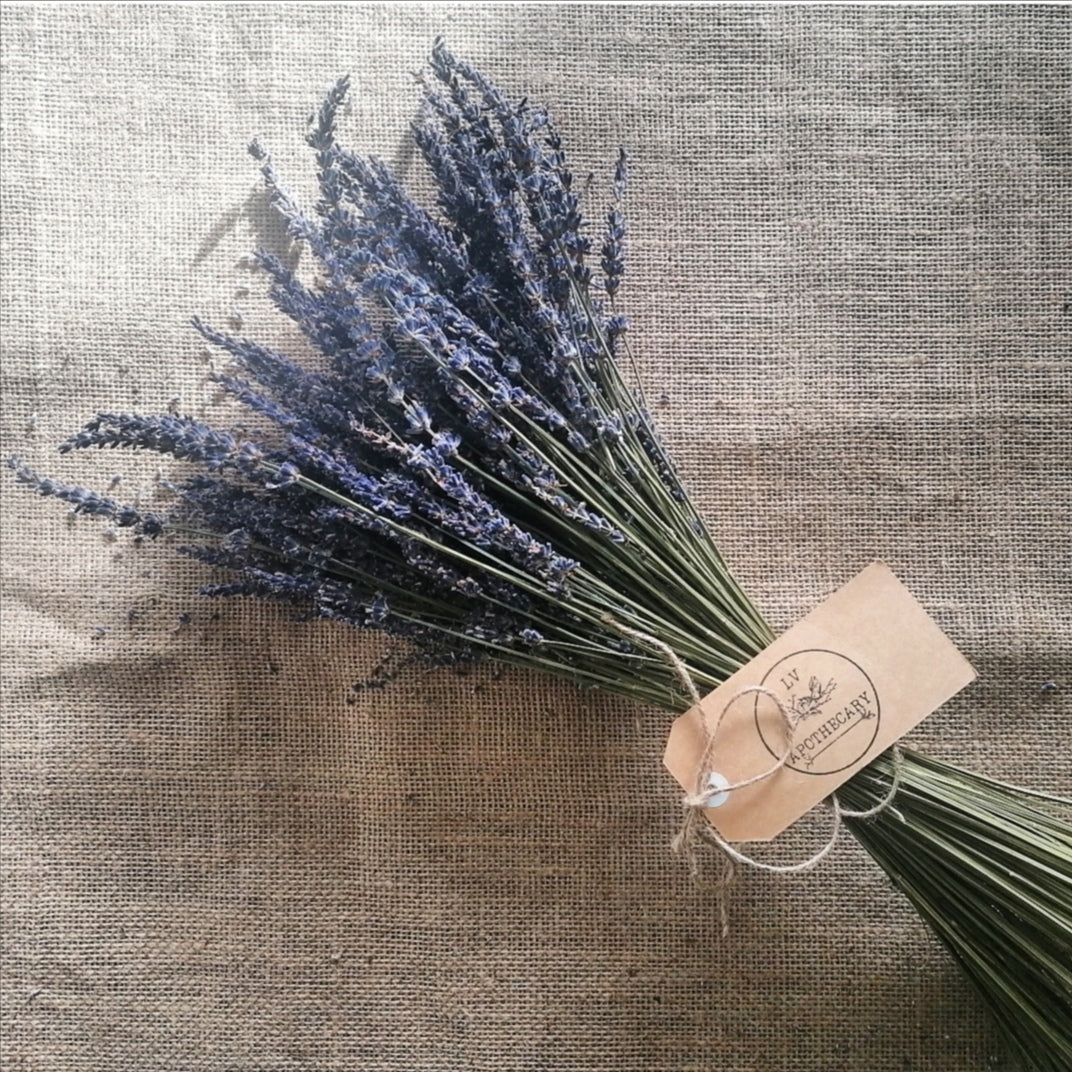 Dried French Lavender Bunch - LV Apothecary